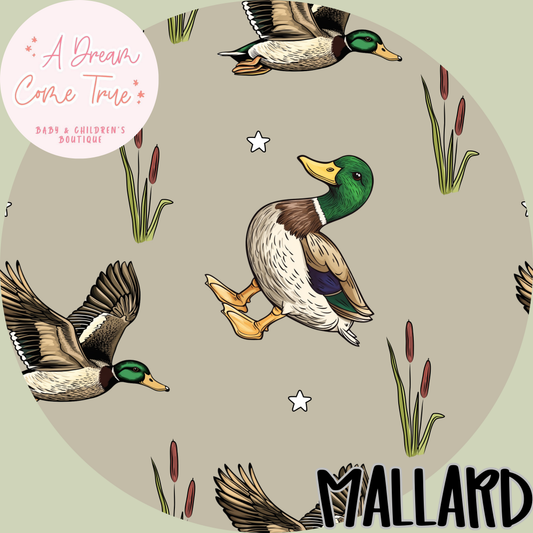 MALLARD | PO EARLY OCTOBER